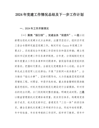 2024年党建工作情况总结及下一步工作计划.docx