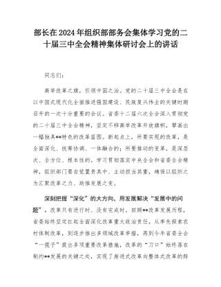 部长在2024年组织部部务会集体学习党的二十届三中全会精神集体研讨会上的讲话.docx