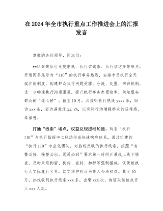在2024年全市执行重点工作推进会上的汇报发言.docx