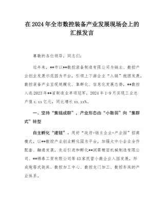 在2024年全市数控装备产业发展现场会上的汇报发言.docx