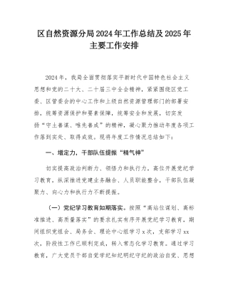 区自然资源分局2024年工作总结及2025年主要工作安排.docx