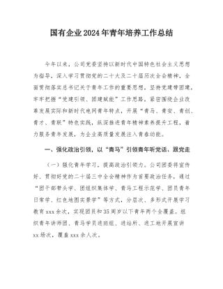 国有企业2024年青年培养工作总结.docx
