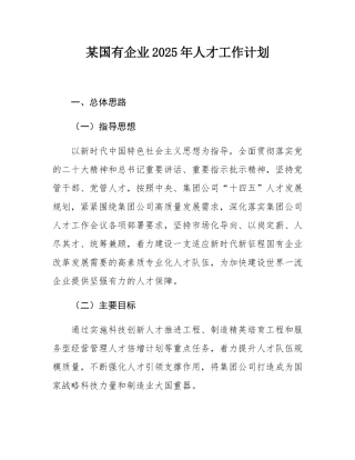 某国有企业2025年人才工作计划.docx