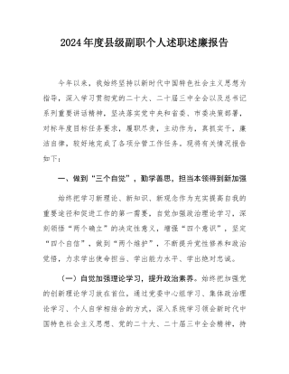 2024年度县级副职个人述职述廉报告.docx