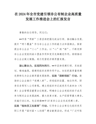 在2024年全市党建引领非公有制企业高质量发展工作推进会上的汇报发言.docx