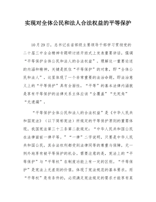 实现对全体公民和法人合法权益的平等保护.docx