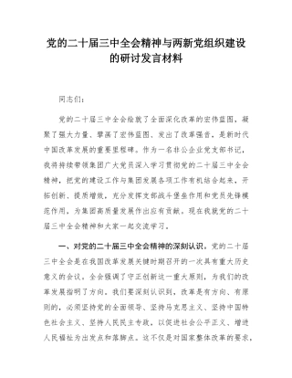党的二十届三中全会精神与两新党组织建设的研讨发言材料.docx
