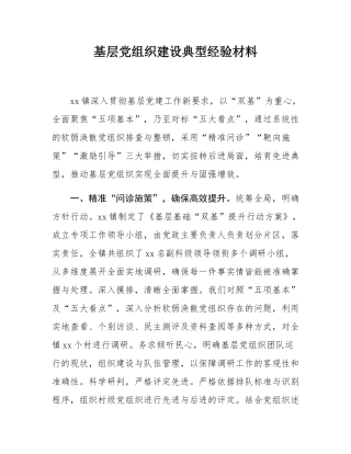 基层党组织建设典型经验材料.docx