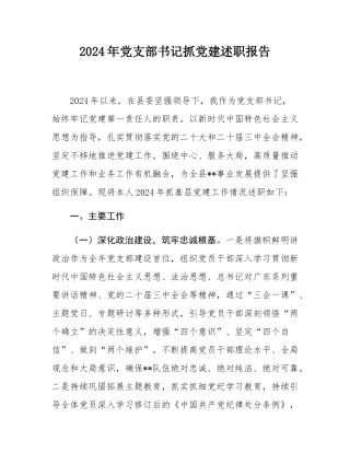 2024年党支部书记抓党建述职报告.docx