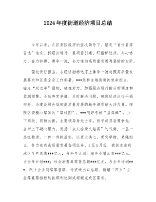 2024年度街道经济项目总结.docx