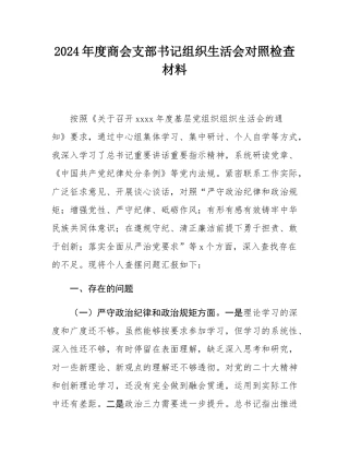 2024年度商会支部书记组织SH会对照检查材料.docx
