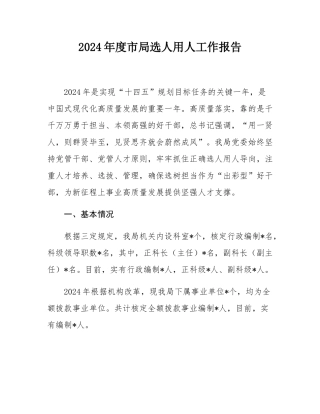 2024年度市局选人用人工作报告.docx