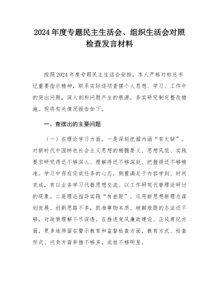 2024年度专题民主SH会、组织SH会对照检查发言材料.docx