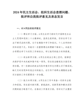 2024年民主SH会、组织SH会查摆问题、批评和自我批评意见及表态发言.docx
