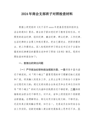 2024年商会支部班子对照检查材料.docx