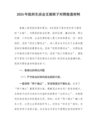 2024年组织SH会支部班子对照检查材料.docx