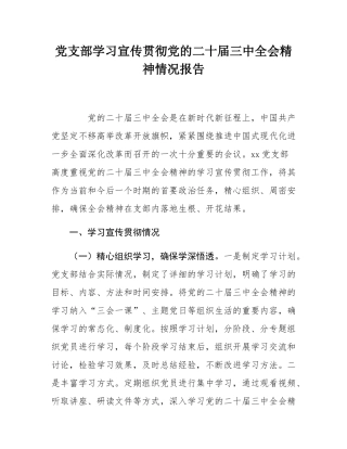 党支部学习宣传贯彻党的二十届三中全会精神情况报告.docx