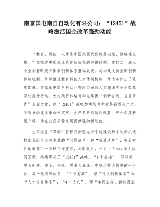 南京国电南自自动化有限公司：“12451”战略激活国企改革强劲动能.docx