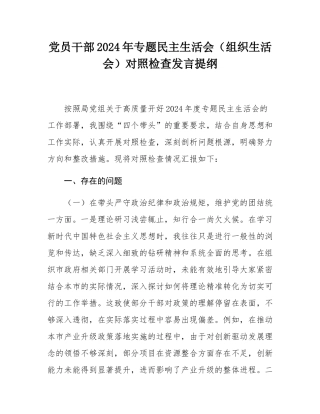 党员干部2024年专题民主SH会（组织SH会）对照检查发言提纲.docx