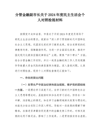 分管金融副市长关于2024年度民主SH会个人对照检视材料.docx