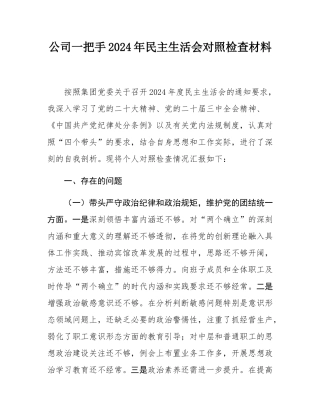 公司一把手2024年民主SH会对照检查材料.docx