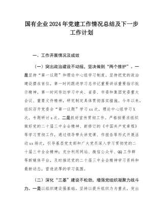 国有企业2024年党建工作情况总结及下一步工作计划.docx