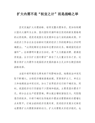 扩大内需不是“权宜之计”而是战略之举.docx