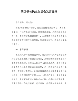 某区镇长民主SH会发言提纲.docx