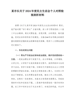 某市长关于2024年度民主SH会个人对照检视剖析材料.docx