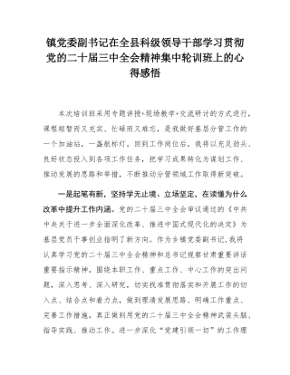 镇党委副书记在全县科级领导干部学习贯彻党的二十届三中全会精神集中轮训班上的心得感悟.docx
