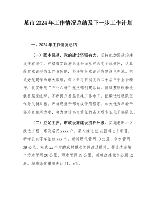 某市2024年工作情况总结及下一步工作计划.docx