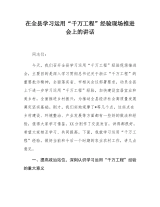 在全县学习运用“千万工程”经验现场推进会上的讲话.docx