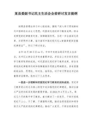 某县委副书记民主SH会会前研讨发言提纲.docx