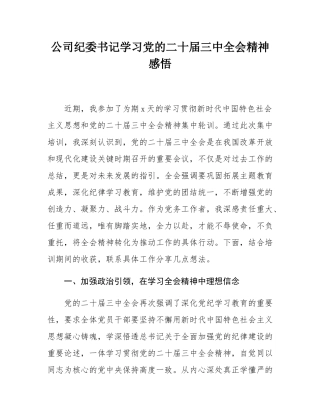 公司纪委书记学习党的二十届三中全会精神感悟.docx