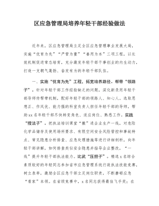 区应急管理局培养年轻干部经验做法.docx