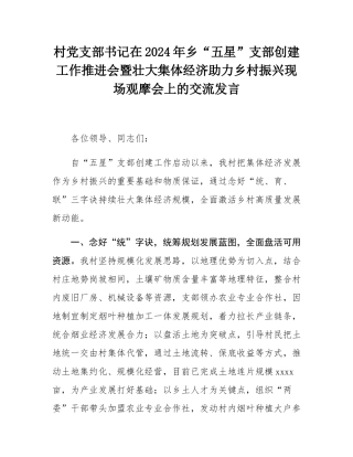 村党支部书记在2024年乡“五星”支部创建工作推进会暨壮大集体经济助力乡村振兴现场观摩会上的交流发言.docx