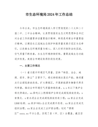 市生态环境局2024年工作总结.docx