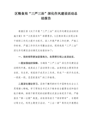 区粮食局“三严三治”深化作风建设活动总结报告.docx