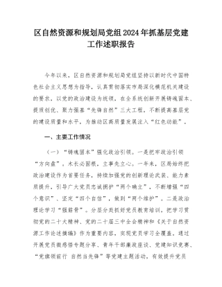 区自然资源和规划局党组2024年抓基层党建工作述职报告.docx
