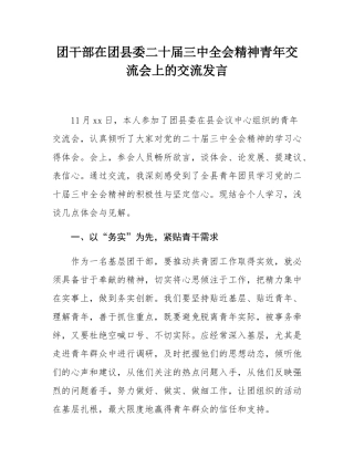 团干部在团县委二十届三中全会精神青年交流会上的交流发言.docx