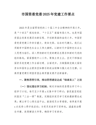市国资委党委2025年党建工作要点.docx