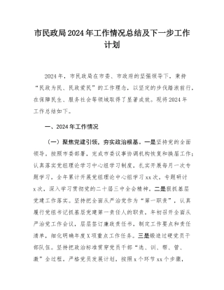 市民政局2024年工作情况总结及下一步工作计划.docx