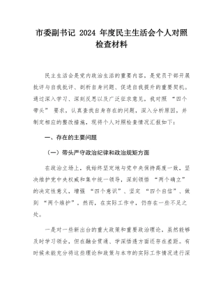 市委副书记 2024 年度民主SH会个人对照检查材料.docx