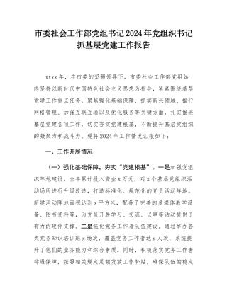 市委社会工作部党组书记2024年党组织书记抓基层党建工作报告.docx