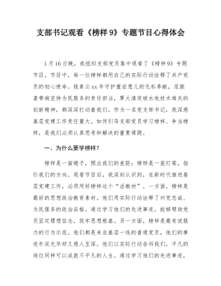 支部书记观看《榜样9》专题节目心得体会.docx