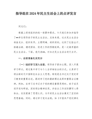 指导组在2024年民主SH会上的点评发言.docx