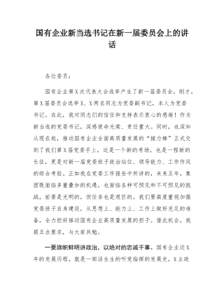 国有企业新当选书记在新一届委员会上的讲话.docx