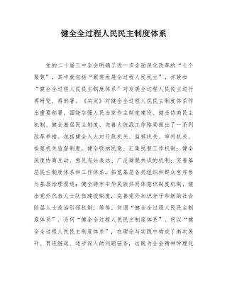 健全全过程人民民主制度体系.docx