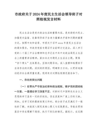 市政府关于2024年度民主SH会领导班子对照检视发言材料.docx