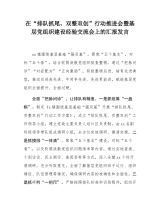 在“排队抓尾、双整双创”行动推进会暨基层党组织建设经验交流会上的汇报发言.docx